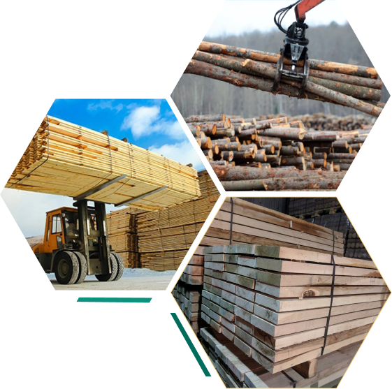 Đôi nét về wood & lumber llc