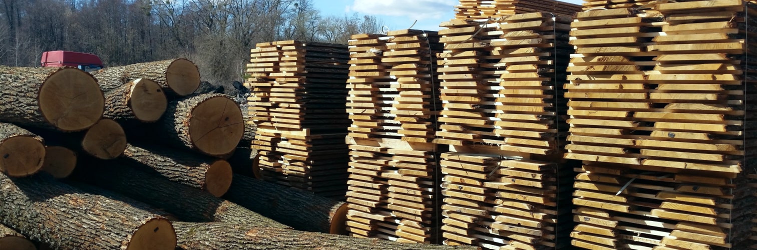 Nhập khẩu gỗ sồi trắng Mỹ